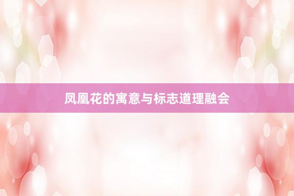 凤凰花的寓意与标志道理融会